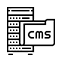 CMS Development